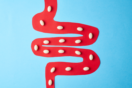 What Is the Gut Microbiome? Everything You Need to Know