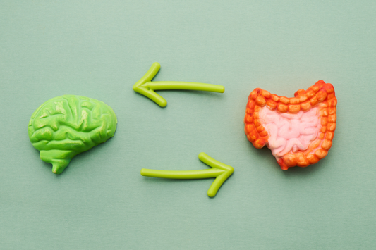 Gut Microbiome and Sleep: The Bidirectional Relationship
