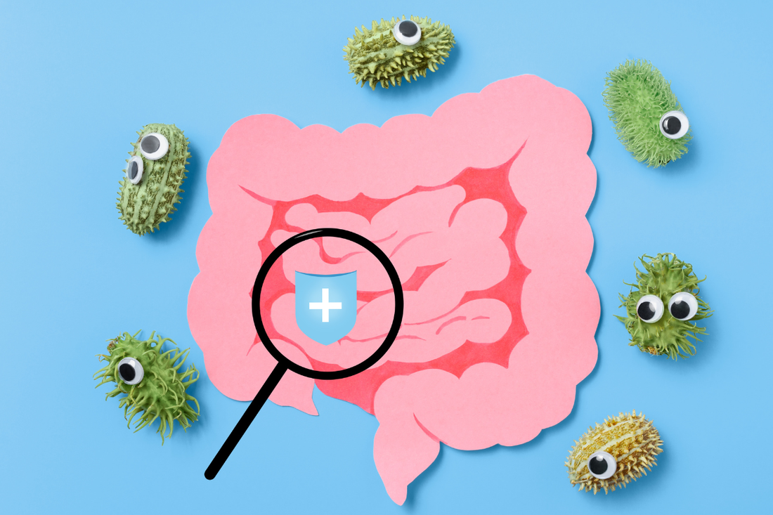 Gut Microbiome and Mental Health: What the Research Actually Shows