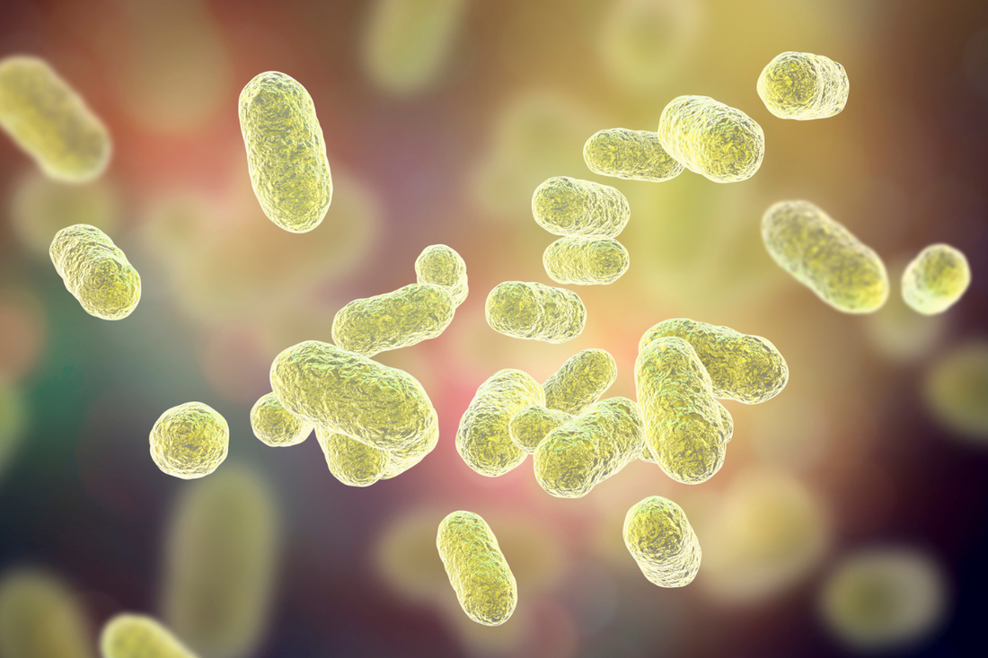 How Gut Microbiome Testing Supports Wellness in Singapore