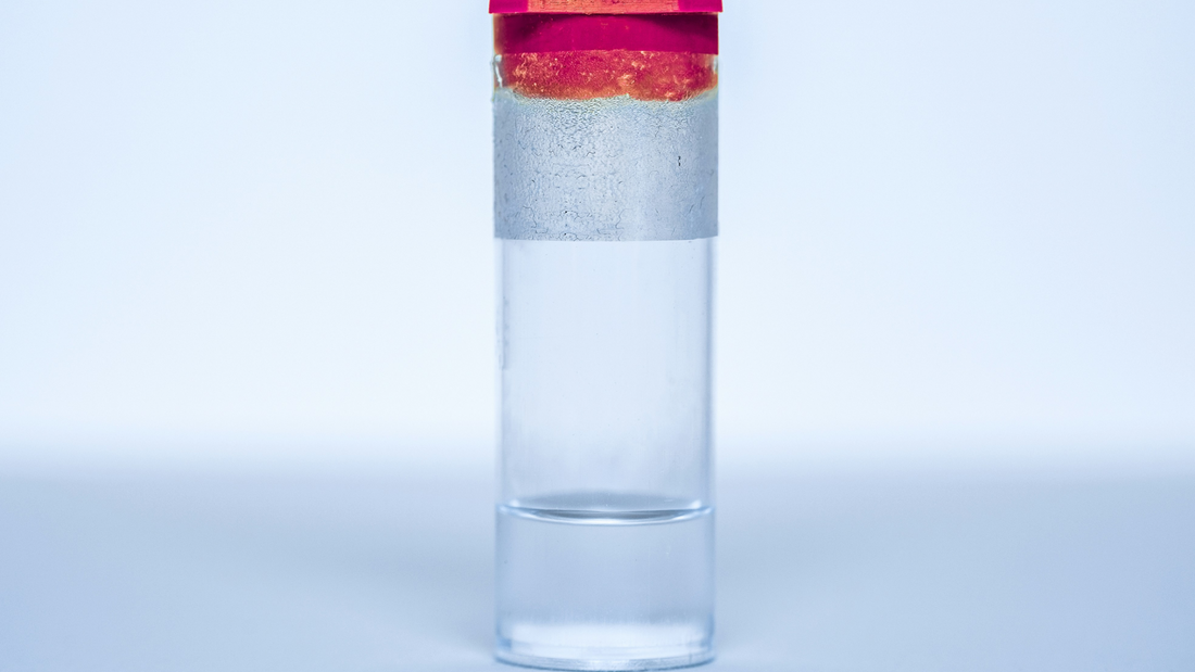 Gut Microbiome Testing in Singapore: Benefits and Accuracy