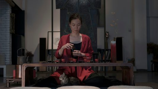 TCM and PCOS: How Traditional Chinese Medicine Predicted PMOS