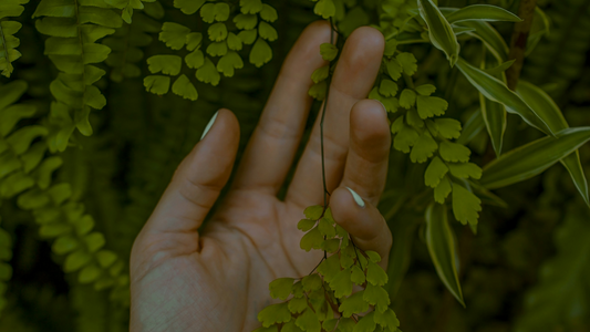 5 Signs Your Gut Needs Healing (That Aren't Digestive)