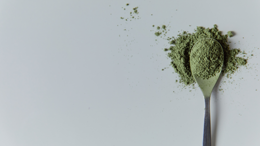 The Science of Gut Health and Energy