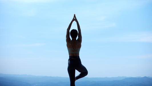 Balancing Stress and Nutrition: How Plant Adaptogens Help Modern Lifestyles