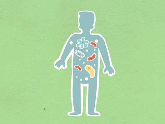 Microbiome Tests Guide: Shotgun Metagenomics vs PCR, 16S, and RNA-Seq