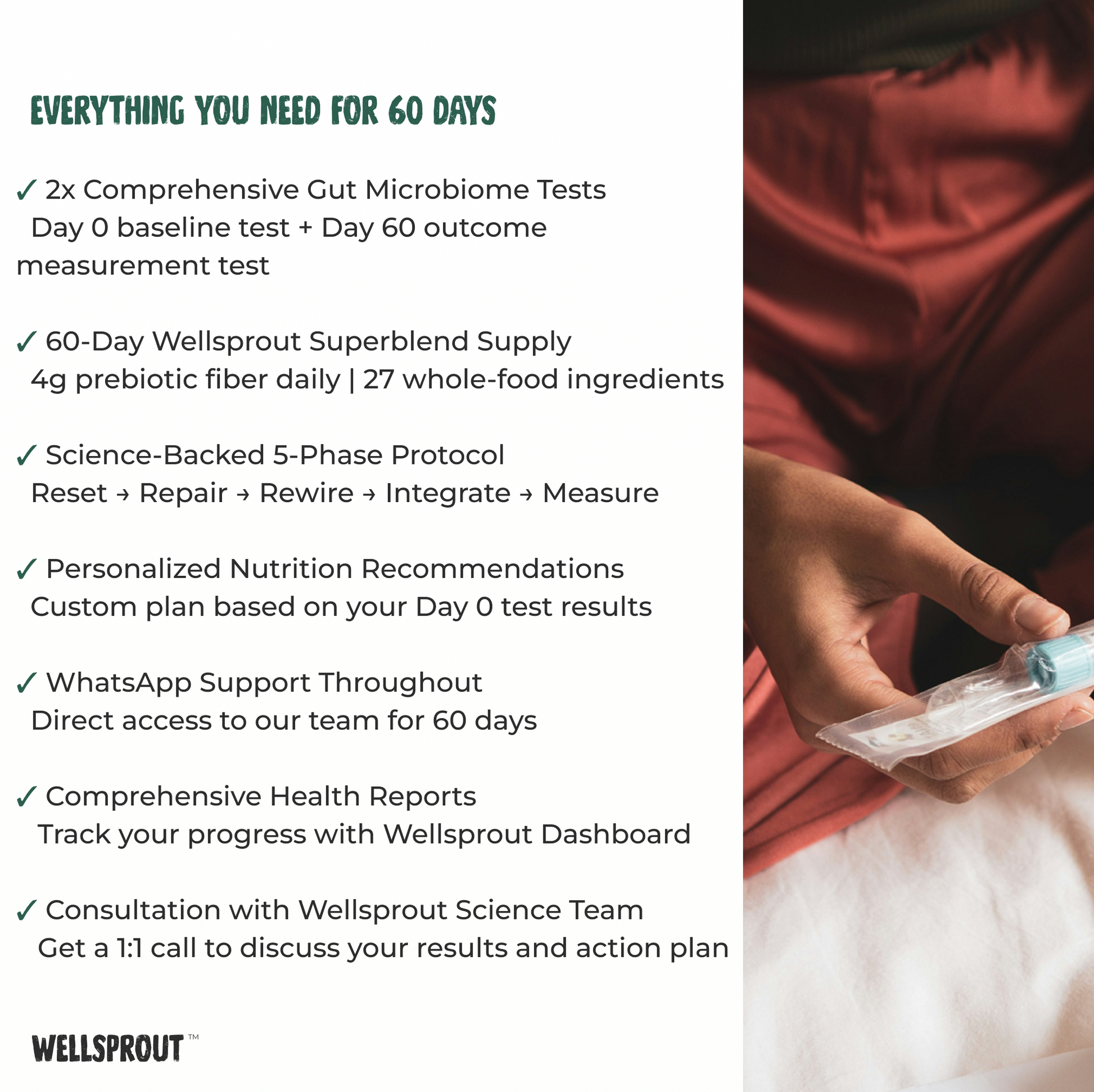Wellsprout 60 day program, everything you need to know