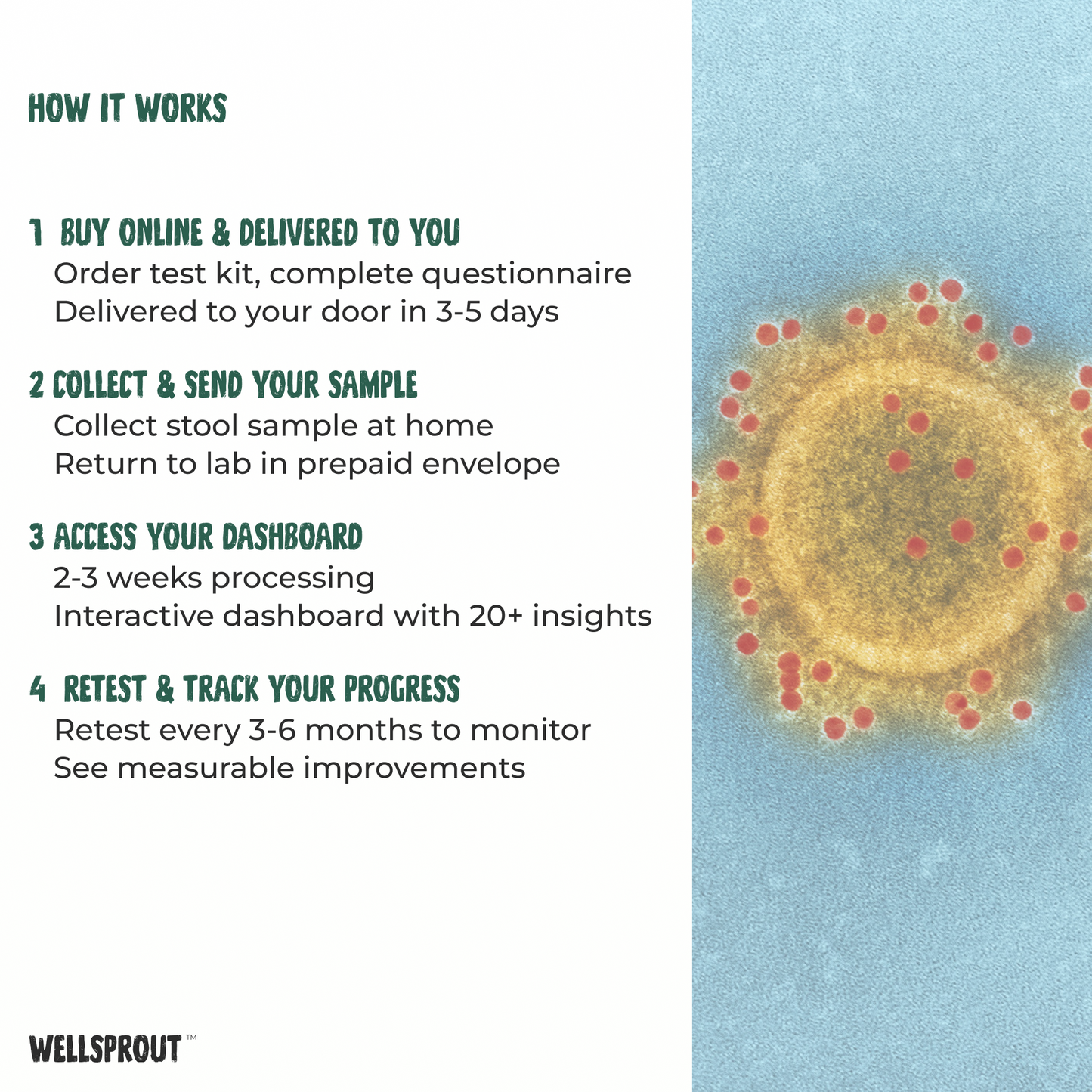 Wellsprout health test process with virus illustration on a blue background