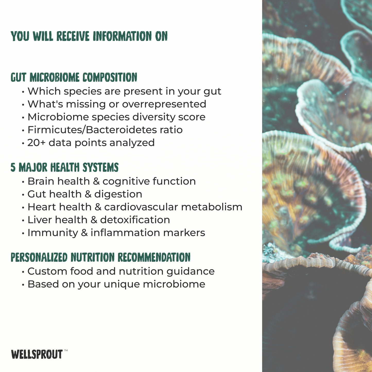 Brochure or flyer about gut microbiome analysis with text and mushroom image.