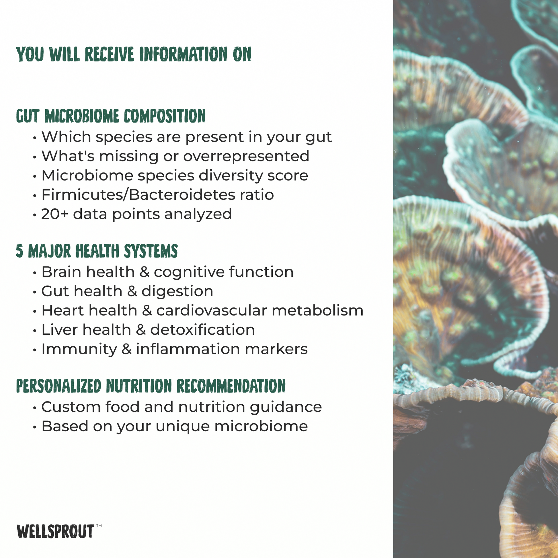 Brochure or flyer about gut microbiome analysis with text and mushroom image.