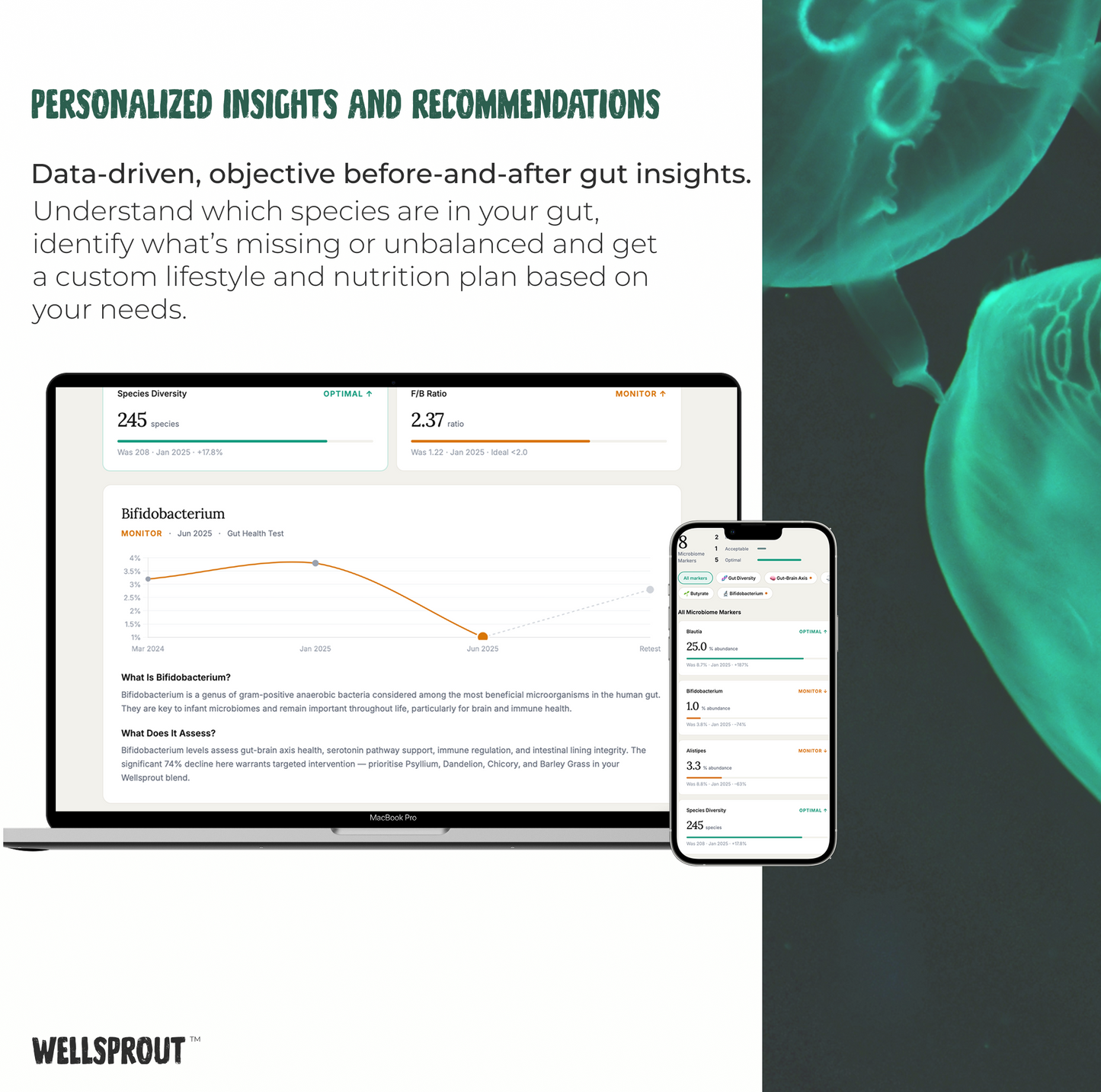 Wellsprout's personalized insights and recommendations service with a laptop and phone displaying data.