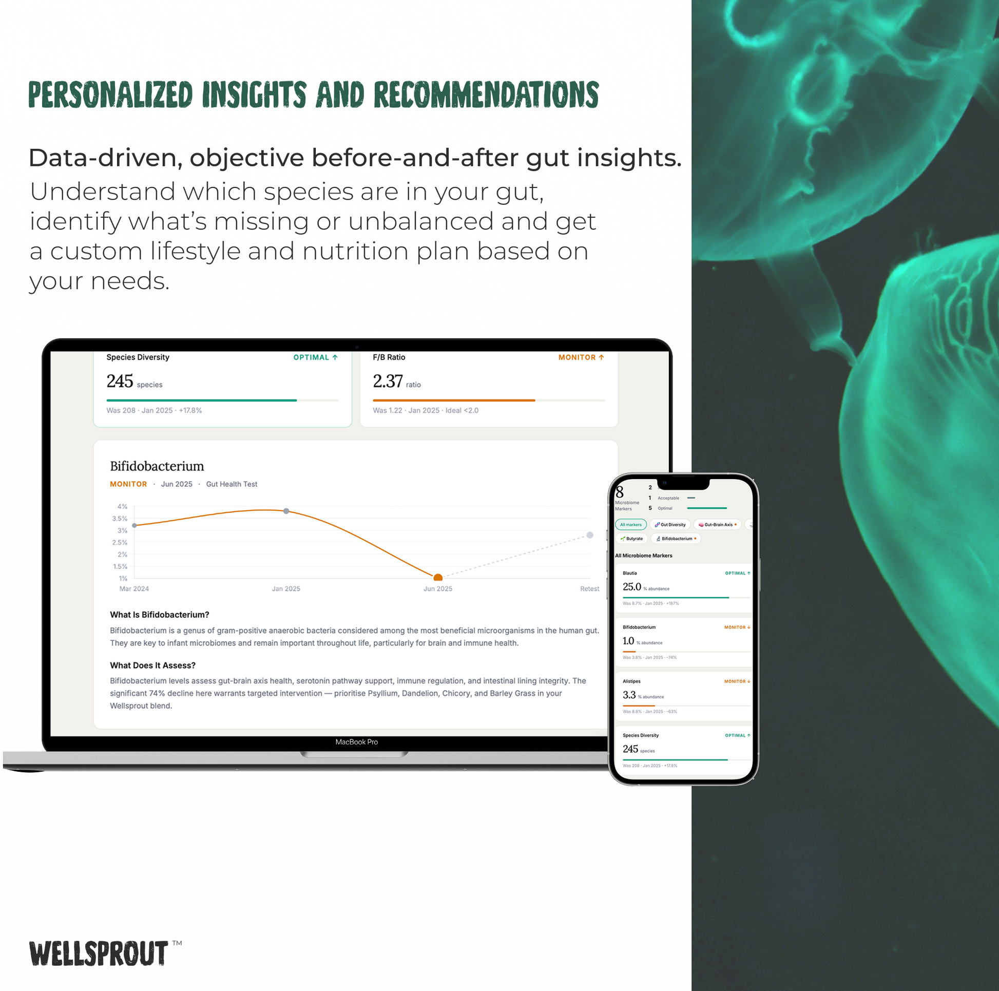 Wellsprout's personalized insights and recommendations service with a laptop and phone displaying data.