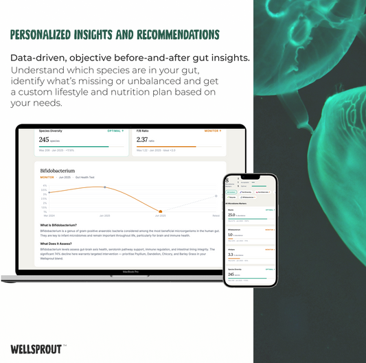 Wellsprout's personalized insights and recommendations service with a laptop and phone displaying data.